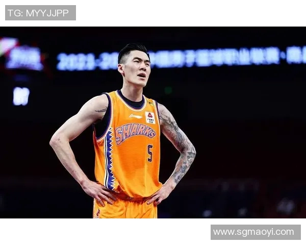 刘铮的奋斗历程与篮球梦想如何激励年轻一代追求卓越与坚持不懈